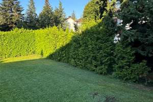 Toplage! REH,Reihenendhaus Mögeldorf Tiergarten mit Garten und Garage – Ginsterweg 67, 90480 Schmausenbuckstraße, Nürnberg – Vorschaubild 6