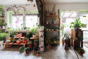 Kleines Wohn- und Geschäftshaus voll vermietet mit Garten und großer Garage – Meißen (Kreis) – Vorschaubild 6
