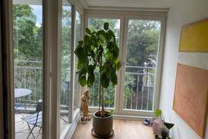 Helle 2,5-Zimmer-Wohnung in Top-Lage nahe Buntem Garten – Regentenstraße 55, 41061 Mönchengladbach – Vorschaubild 10
