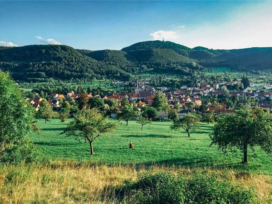 GönningenAlbtrauf