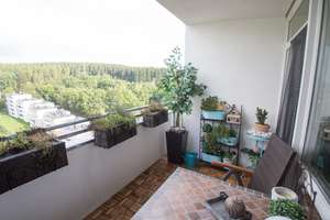 Schöne und helle  2 ZKB Wohnung – Wildrosenallee 1, 57078 Langenholdinghausen, Siegen – Vorschaubild 6