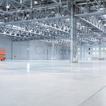 Neubau | 10.000 m² für Logistik oder Produktion | 24/7 | Kranbahn