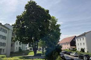 Dieses Haus fällt aus der Reihe – Die vollständige Adresse der Immobilie erhältst du vom Anbieter., 87437 Augarten/Seggers, Kempten (Allgäu) – Vorschaubild 15