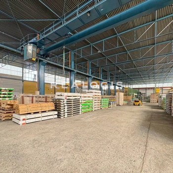 Kranhalle inkl. Büro mit ca. 4.900 m² zu vermieten - exklusiv über REALOGIS