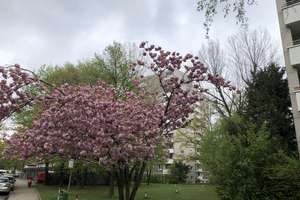 Property thumbnail 20