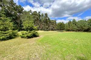 Wohnen im Einklang mit der Natur - Gemütlicher Wohnbungalow in Alleinlage – Teltow-Fläming (Kreis) – Vorschaubild 33