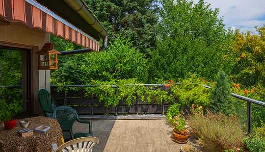 Bild von Viele Möglichkeiten in Traumlage von Bad Soden + Ein-/Zweifamilienhaus!