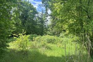 NEUWARMBÜCHEN (FELDRAND): FREISTEHENDES HOLZSTÄNDERHAUS MIT EINLIEGER-WHG AUF PARKÄHNL. GRUNDSTÜCK – Die vollständige Adresse der Immobilie erhältst du vom Anbieter., 30916 Isernhagen – Vorschaubild 51