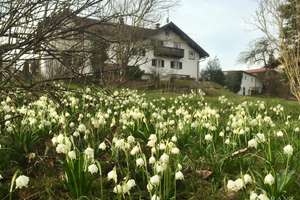 Naturrefugium in Großweil - Doppelhaushälfte mit großem Garten, Fischweiher & Bachlauf – Die vollständige Adresse der Immobilie erhältst du vom Anbieter., 82439 Großweil – Vorschaubild 13