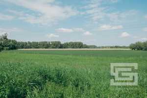 Charmantes Zweifamilienhaus mit großem Gartenjuwel am Naturschutzgebiet! – Heideweg 23, 40789 Mettmann (Kreis) – Vorschaubild 19