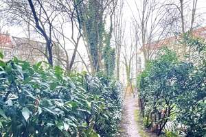 Property thumbnail 14