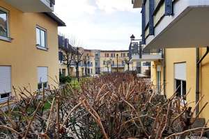 Property thumbnail 16