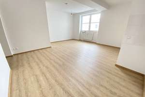 Renovierte Wohnung für 2-3 Personen