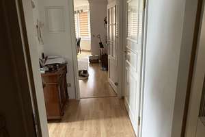 2-Zimmer-Wohnung zu vermieten – Bamberger Straße 47, 1187 Südvorstadt-West, Dresden – Vorschaubild 3