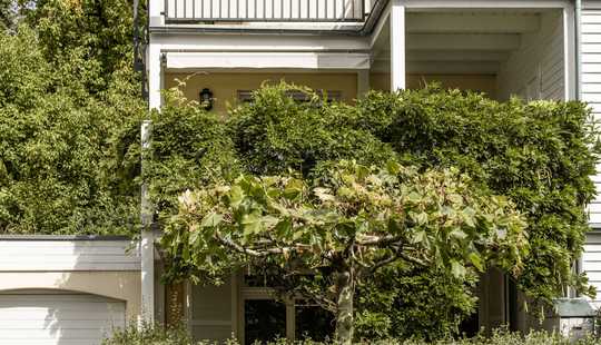 Bild von Townhouse Ölmühlweg - direkt am Woogtal mit Burgblick, Garage und kleinem Garten