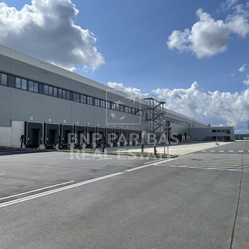 Logistikneubau | 24/7 | WHG-Sohle | ab 2026 | provisionsfrei