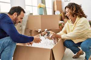 Property thumbnail 5