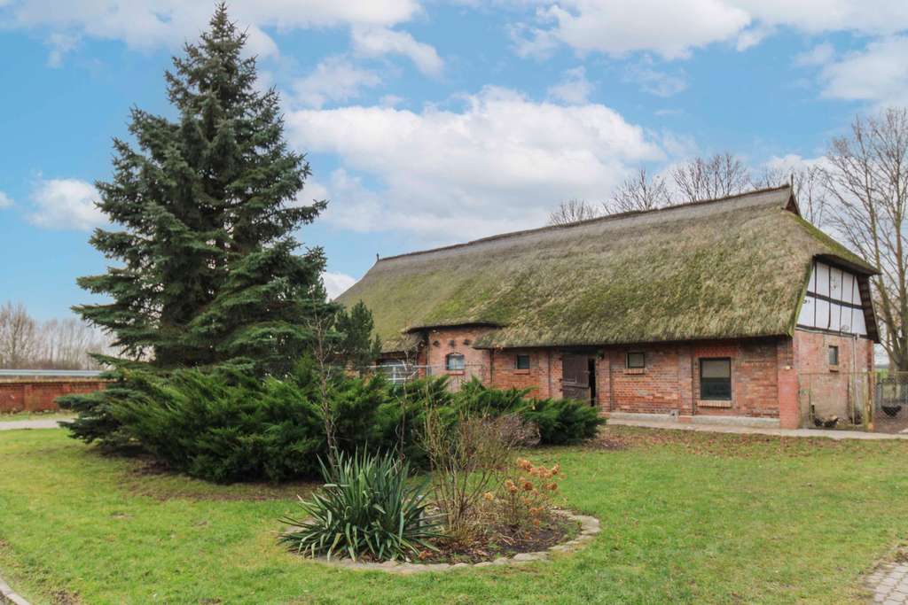 Immobilie in Süderholz - Perfekt für Tierhaltung: Zwei-Seitenhof mit Selbstversorgerbereich, Einliegerwohnung und viel Land - Bild 1