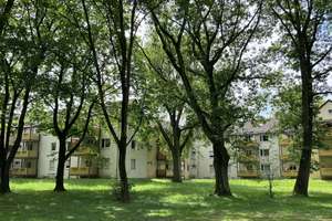 47101/127 Sonnige 2-Zimmer-Wohnung mit großzügigem Balkon in D-Reisholz sucht Nachmieter! – Kappeler Straße 199, 40599 Reisholz, Düsseldorf – Vorschaubild 2