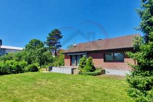 2 Häuser - Einfamilienhaus & Bungalow zentral in Lampertheim. Schönes Anwesen für Individualisten – Bergstraße (Kreis) – Vorschaubild 9