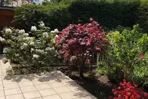 freistehendes Einfamilienhaus (inkl. EBK) auf ruhigem Sonnengrundstück – Berlin – Vorschaubild 4