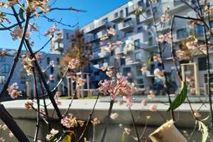 Erstklassige Gelegenheit: 3-Zimmer-Wohnung in Top-Lage! – Berduxstr. 66, 81245 Neupasing, München – Vorschaubild 11