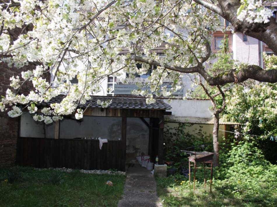 Garten mit Remise