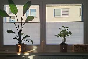 Saarlandstraßenviertel: 3-Zimmer-Wohnung – Die vollständige Adresse der Immobilie erhältst du vom Anbieter., 44139 Ruhrallee, Dortmund – Vorschaubild 14