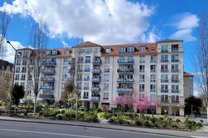 3- Zi Wohnung / Balkon / Aufzug / Dresden - Johannstadt / zu verkaufen