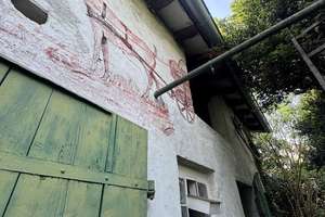 Charmantes Einfamilienhaus mit Garten und großem Potenzial in Frankfurt – 65936 Sossenheim, Frankfurt am Main – Vorschaubild 12
