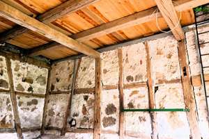 Traum-Grundstücke! Resthof mit 2 x Handwerker-Haus bei Bamberg Ebern LK Haßberge in Bayern Franken – Die vollständige Adresse der Immobilie erhältst du vom Anbieter., 96166 Kirchlauter – Vorschaubild 16