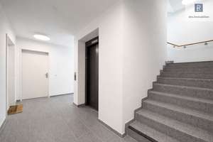 Ehrenfeld // Barrierefreie 3-Zi-Wohnung mit Balkon und TG-Stellplatz. Ideal für Singles und Paare! – Die vollständige Adresse der Immobilie erhältst du vom Anbieter., 50825 Ehrenfeld (Ortsteil), Köln – Vorschaubild 19