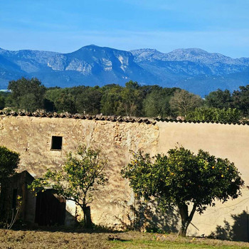 CostitxHaus