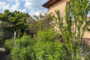 Charmanter Bungalow mit Ausbaupotenzial – großer Garten und Tiefgarage – Die vollständige Adresse der Immobilie erhältst du vom Anbieter., 14624 Dallgow-Döberitz – Vorschaubild 24