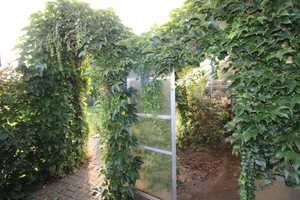 *RESERVIERT* Freistehendes EFH mit Garten inkl. Wintergarten, Balkon & Garagen – Salzgitter – Vorschaubild 11