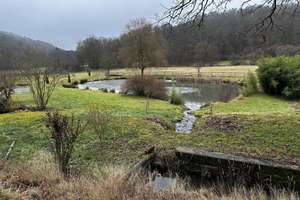 Naturidylle in Alleinlage, 4,7 ha – 55481 Kirchberg im Wald – Vorschaubild 21
