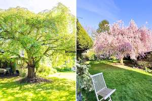 Tolle Lage, schöner Garten, Einfamilienhaus als DHH mit Gestaltungspotential – Die vollständige Adresse der Immobilie erhältst du vom Anbieter., 44319 Wickede, Dortmund – Vorschaubild 3