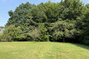 So sehen Träume aus! Imposante Villa auf  9.775 m² parkähnlichem Grundstück und eigenem Wald. – Amtsdamm 65, 27628 Hagen im Bremischen – Vorschaubild 48