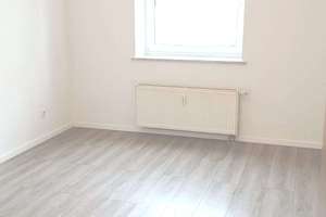 frisch renovierte EG Wohnung, ruhig gelegen mit viel Licht. – Am Bocklerbaum 21, 45307 Kray, Essen – Vorschaubild 12