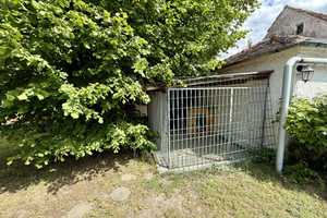BUNGALOW IN COTTBUS | Großzügiges Einfamilienhaus im TOP Zustand mit 715qm Grundstück! – Cottbus – Vorschaubild 8