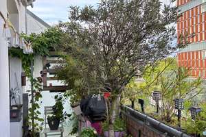 Charmante Altbauwohnung in Golzheim – 3 Zimmer, Südost-Balkon, teilmöbliert – Uerdinger Str. 79, 40474 Golzheim, Düsseldorf – Vorschaubild 3