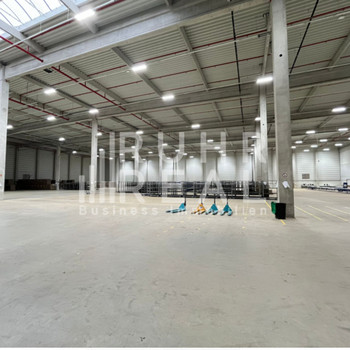 Logistikhalle | 10 m UKB | 3 Rampen & 1 ebenerdiges Tor | ab sofort 