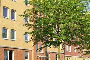 Tolle Wohnung mit Terrasse ins Grüne