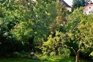 Gemütliche, gut geschnittene Single-Wohnung in naturnaher Lage – Nürnberg – Vorschaubild 9