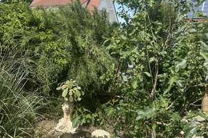 Freistehendes Einfamilienhaus mit Garten in ruhiger Lage – ab Januar 2026 – Die vollständige Adresse der Immobilie erhältst du vom Anbieter., 88682 Salem – Vorschaubild 10