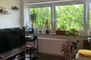 Schöne 1-Zimmer-Wohnung in Paderborn