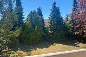 Großzügiges Einfamilienhaus/ großes Grundstück in bester Lage Ingolstadt/ Gerolfing provisionsfrei – Raimundstraße 6, 85049 West, Ingolstadt – Vorschaubild 32