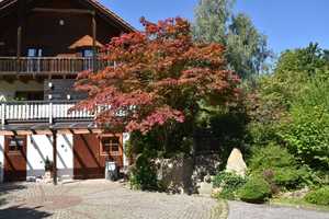 Alleinlage - Traumhafte Landhausvilla in Deggendorf – Deggendorf (Kreis) – Vorschaubild 4