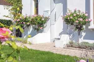 Stadthaus aus Gründerzeit, stilvoll renoviert und saniert, zentrale Lage, mediterrane Südterrasse – Emsland (Kreis) – Vorschaubild 11