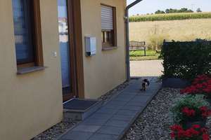 Sehr schönes 5-Zimmer-Haus in Völpke – Die vollständige Adresse der Immobilie erhältst du vom Anbieter., 39393 Völpke – Vorschaubild 26
